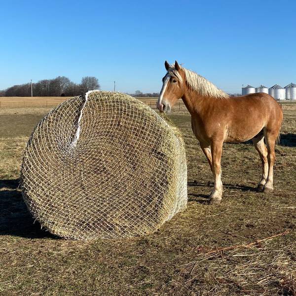 Photo of 6' x 6' Twisted Cord Round Bale Hay Net