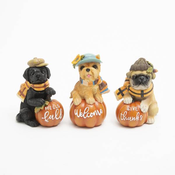Photo of 5" Harvest Dogs with Pumpkins Assortment
