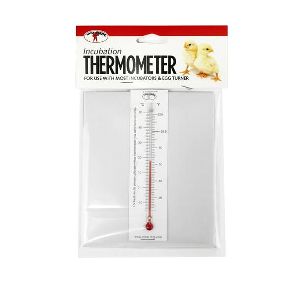 Little Giant Incubator Thermometer Kit - 6303 | Blain's Farm & Fleet