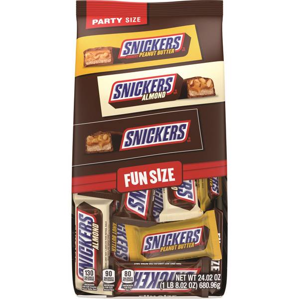 Snickers 24.02 oz Mixed Fun Size Variety Bag - 530873 | Blain's Farm ...