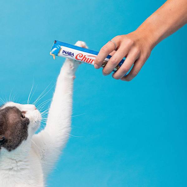Amazon.com: INABA Churu Cat Treats, Grain-Free, Lickable