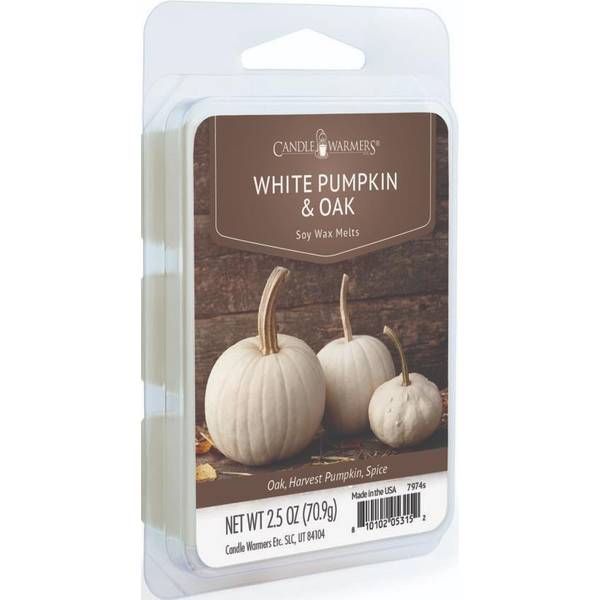 Photo of White Pumpkin & Oak Classic Wax Melt