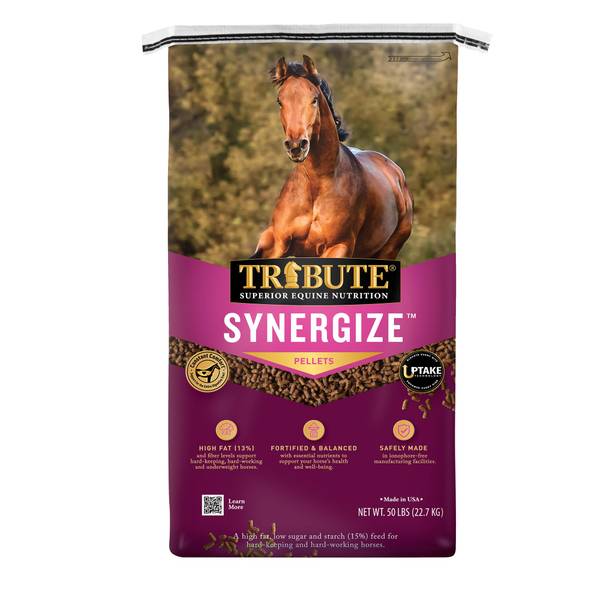 Photo of 50 lb Synergize Horse Feed