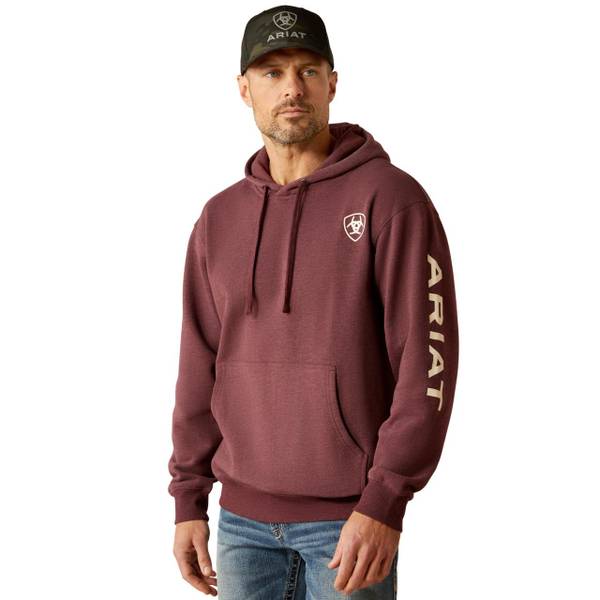 ARIAT Men's Logo Hoodie 10052768X-3X Blain's Farm Fleet