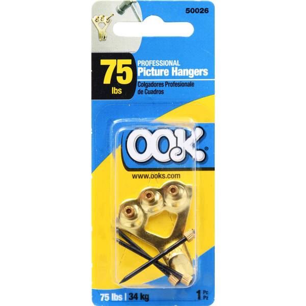 Photo of Professional Picture Brass Hanger