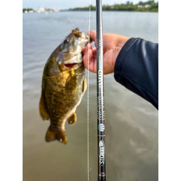 Bass Fly Fishing Best Spinning Rod For Smallmouth Bass Best St