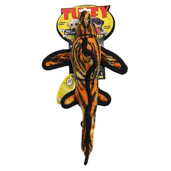 Photo of Ocean Creature Tiger Shark