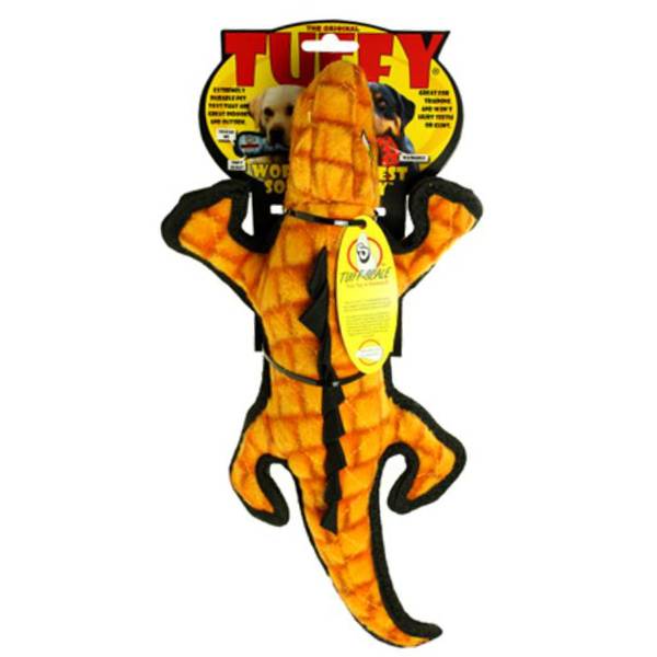 Photo of Desert Gila Monster