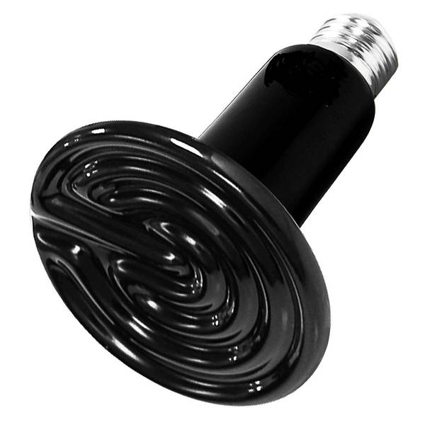 Photo of 150W Ceramic E26 Heat Lamp