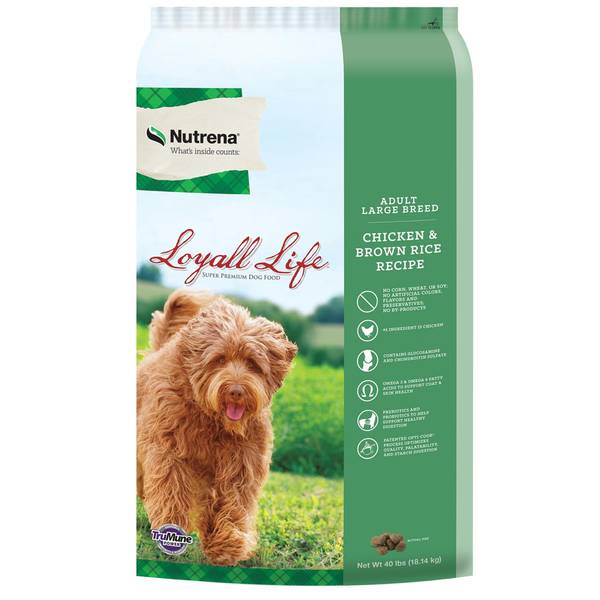 Loyall Life 40 lb Adult Large Breed Chicken Brown Rice Recipe Dog Food 136038 40 Blain s Farm Fleet