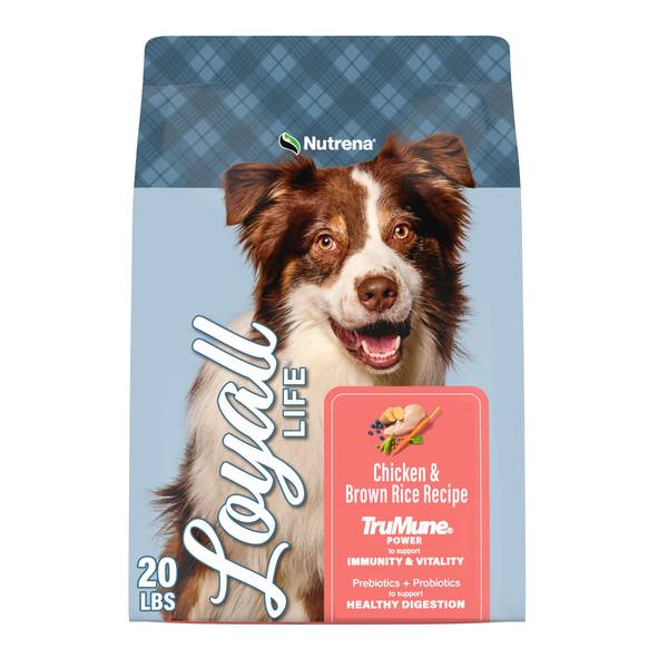 Photo of All Life Stages Chicken & Brown Rice Recipe Dog Food, 20 lb, High Protein
