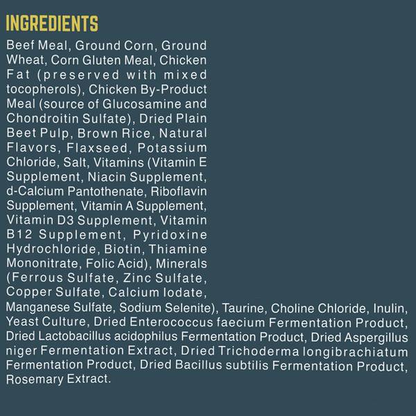 Black Gold Explorer Original Performance 26/18 Dry Dog Food, 15 lb, High  Protein, Fat - 107686671 | Blain's Farm & Fleet