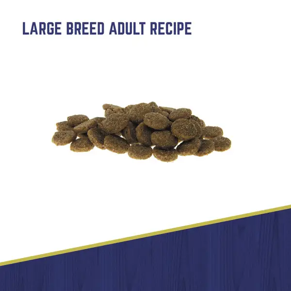 Black Gold Explorer Large Breed Adult Recipe Dry Dog Food, 40 lb