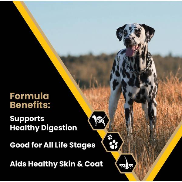 Victor Classic Multi-Pro Dry Dog Food 15 lb, Nutrient-Dense Multi