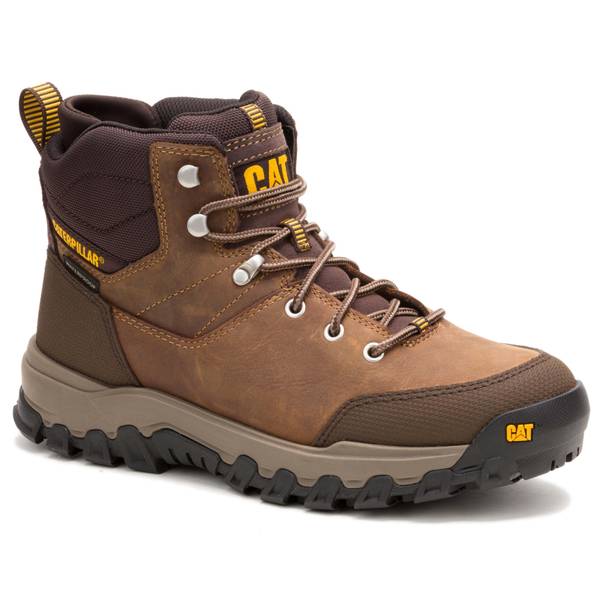 Gato Boot World