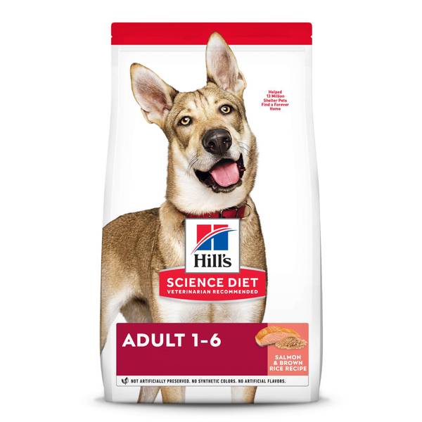 Photo of Adult Salmon and Brown Rice Recipe Dry Dog Food, High Quality Protein Source