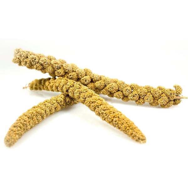 Photo of 25 lb Golden Spray Millet