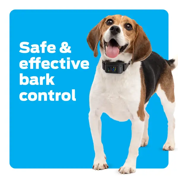 Premier Pet Bark Collar with Digital Display - GBC00-17993 | Blain's Farm & Fleet Premier Pet Bark Collar with Digital Display - GBC00-17993 | Blain's Farm & Fleet