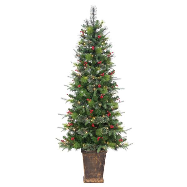 Photo of 6ft Pre Lit Warm White LED Potted Hard Needle Douglas Pine with 250 Lights and 608 Layered Tips
