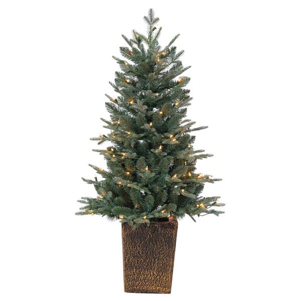 Photo of 4ft Pre Lit Potted Natural Cut Blue Spruce with 100 Lights and 605 Branch Tips