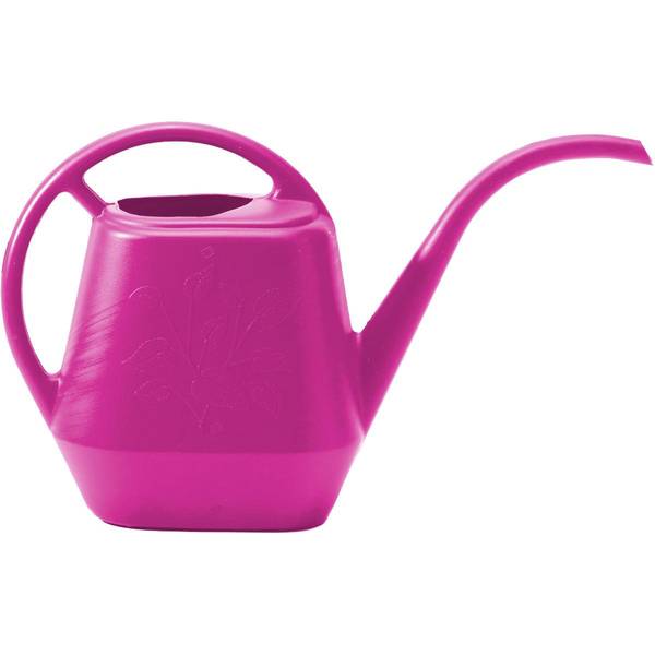 Photo of 56 oz Watering Can