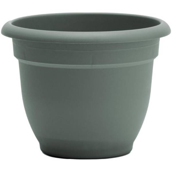 Photo of 10" Ariana Basil Planter