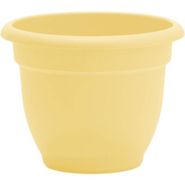 Photo of 12" Ariana Daffodil Planter