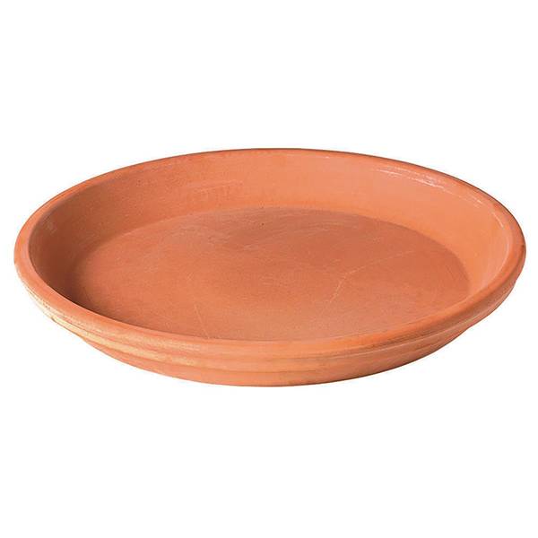 Photo of 6" Blush Saucer