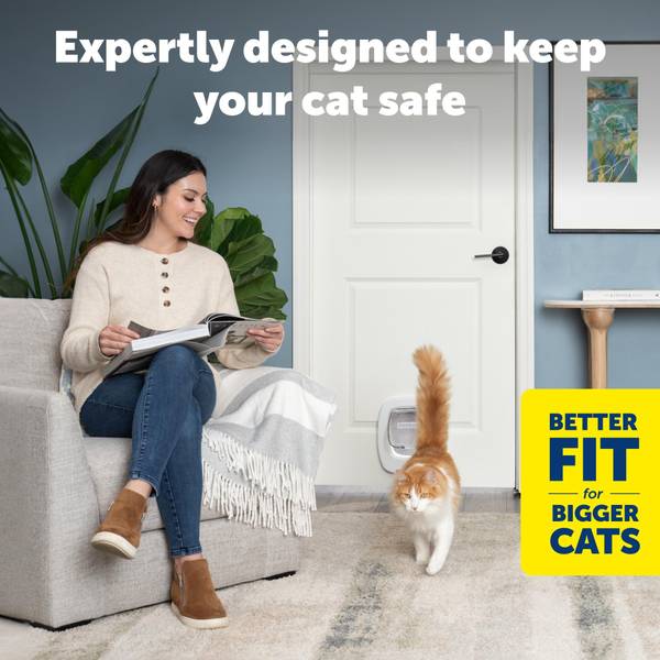 PetSafe Big Cat Door - PPA00-17878 | Blain's Farm & Fleet