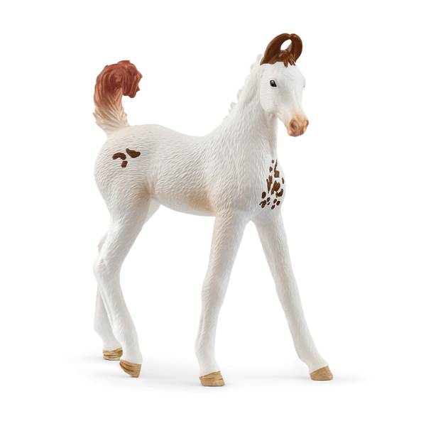 Photo of Marwari Foal Figurine
