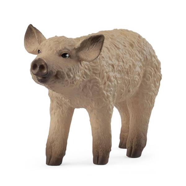 Photo of Mangalica Piglet Figurine