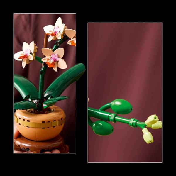LEGO Botanicals Mini Orchid 10343 Building Kit - 6526161 | Blain's