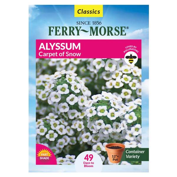 Photo of Carpet Of Snow Alyssum