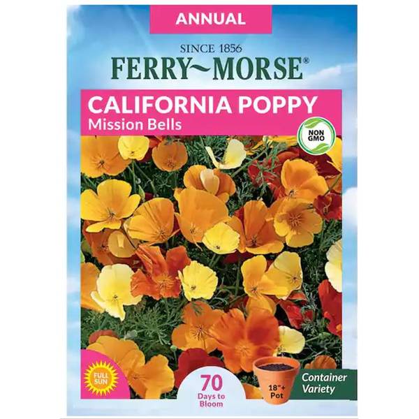 Photo of Mission Bells California Poppy