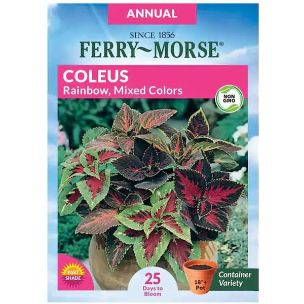 Photo of Rainbow Mixed Colors Coleus