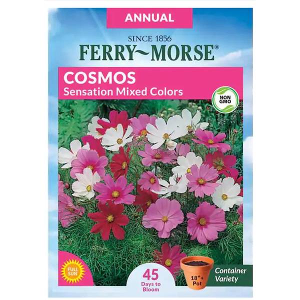 Photo of Sensation Mixed Colors Cosmos