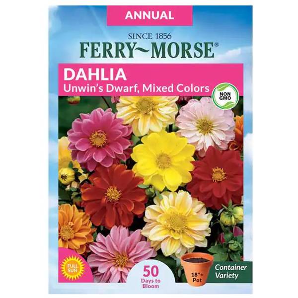 Photo of Unwin's Dwarf Mixed Colors Dahlia