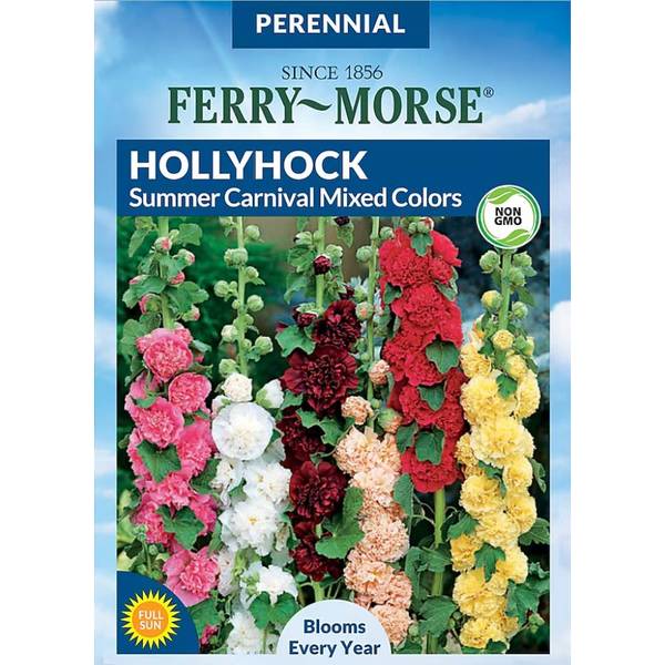 Photo of Summer Carnival Mixed Colors Hollyhock