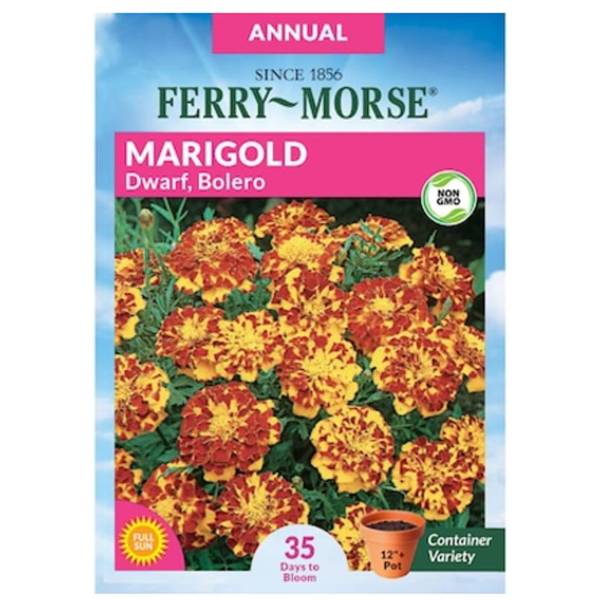 Photo of Bolero Dwarf Marigold