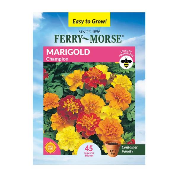Photo of Champion Mix Marigold