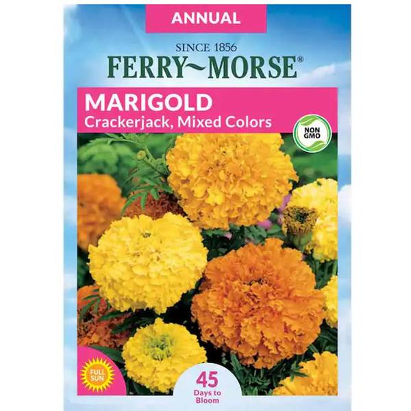 Photo of Crackerjack Mixed Colors Marigold