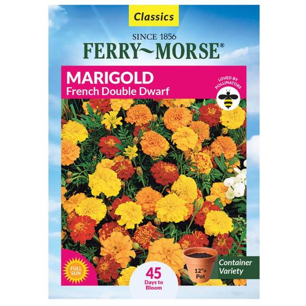 Photo of French Double Dwarf Marigold
