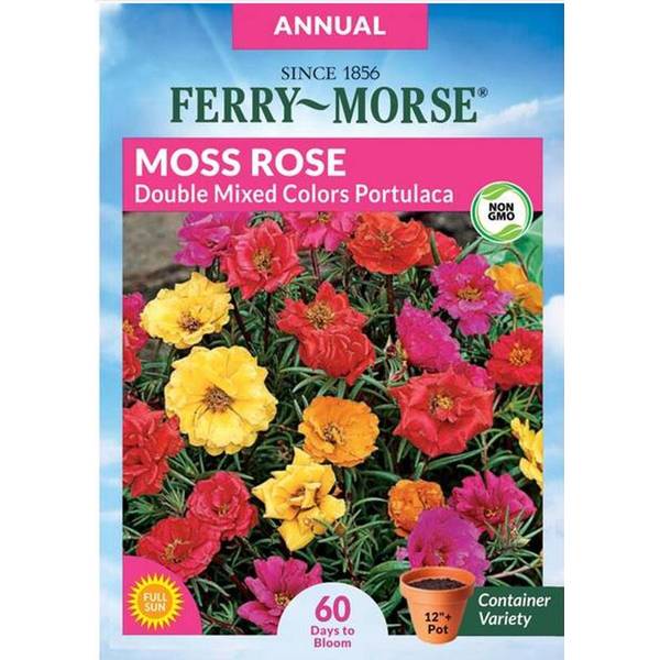 Photo of Double Mixed Portulaca Moss Rose