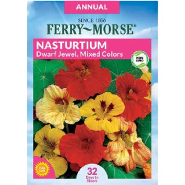 Photo of Dwarf Jewel Mixed Colors Nasturtium