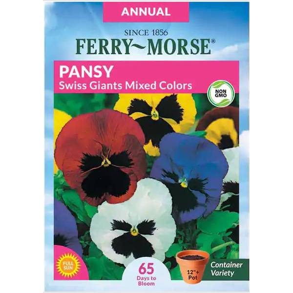 Photo of Giants Mixed Colors Pansy Swiss
