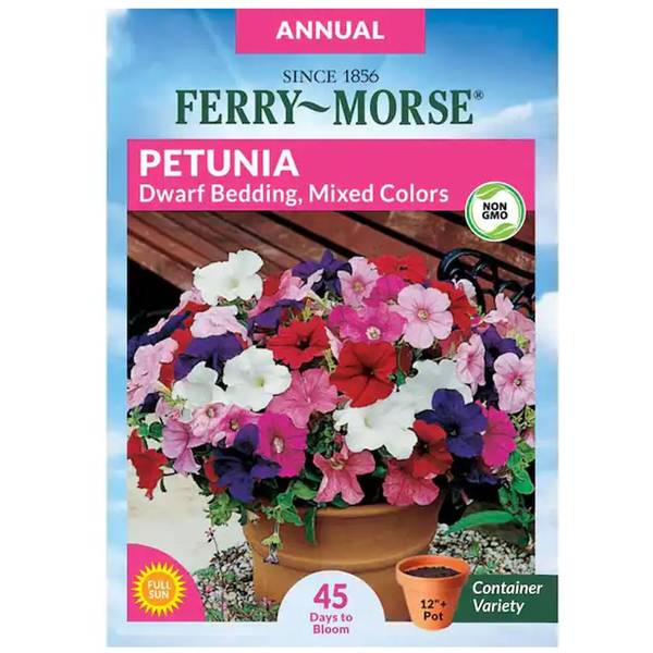 Photo of Dwarf Bedding Mixed Colors Petunia