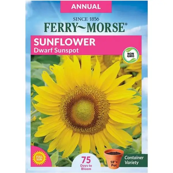 Ferry Morse Dwarf Sunspot Sunflower - 6529 | Blain's Farm & Fleet