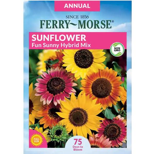 Photo of Fun Sunny Hybrid Mix Sunflower