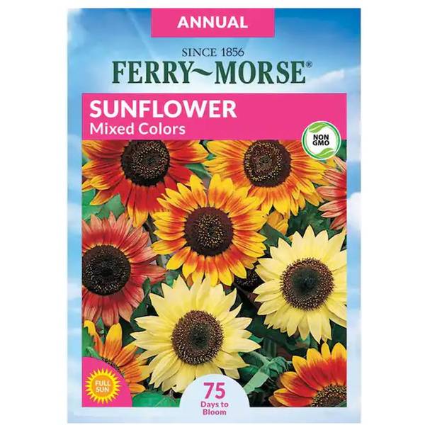 Photo of Mixed Colors Sunflower