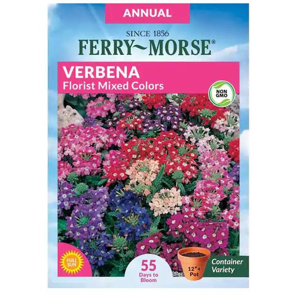 Photo of Florist Mixed Colors Verbena